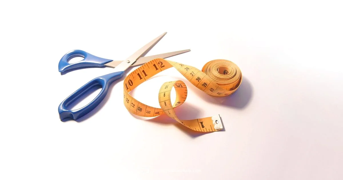 Best Budget Pick - Sewing Machine Help