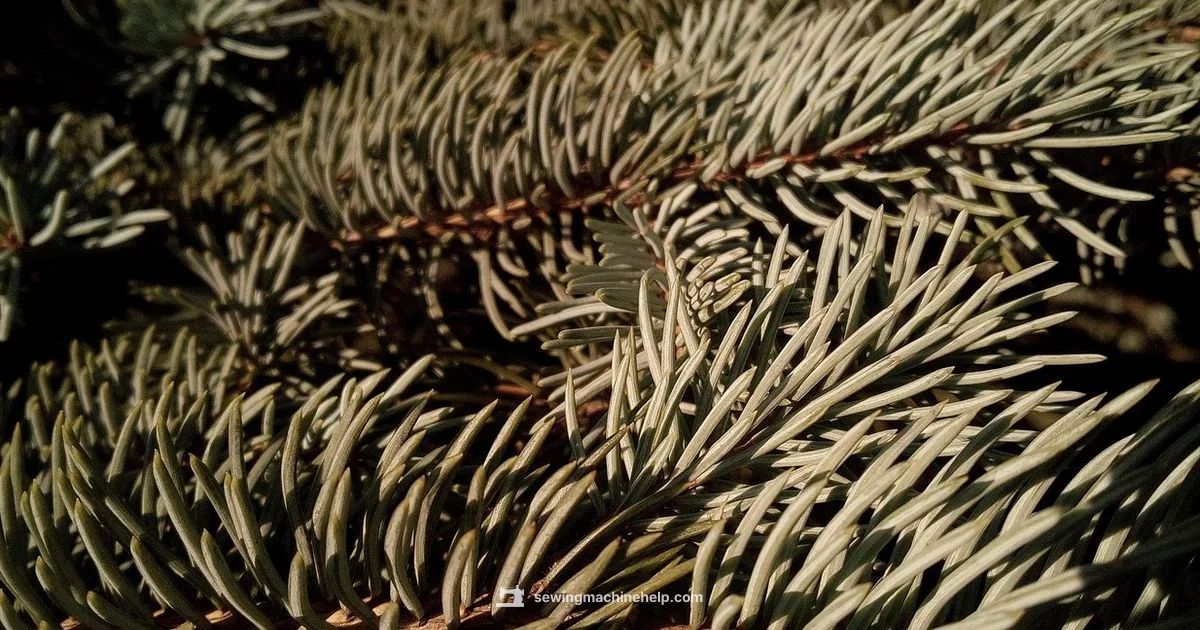 Singer Needles Guide - Sewing Machine Help