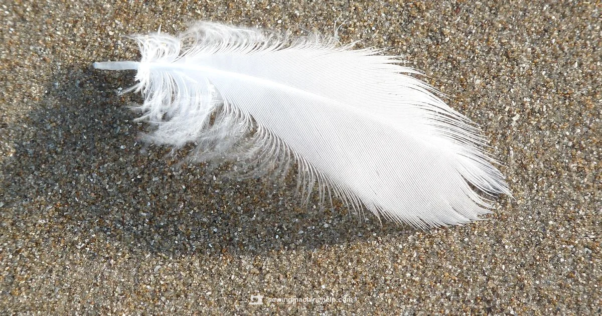 Featherweight Singer Spotlight - Sewing Machine Help