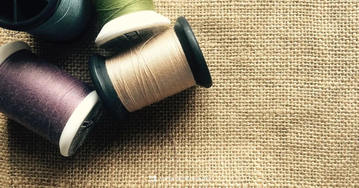 Sewing Basics - Sewing Machine Help