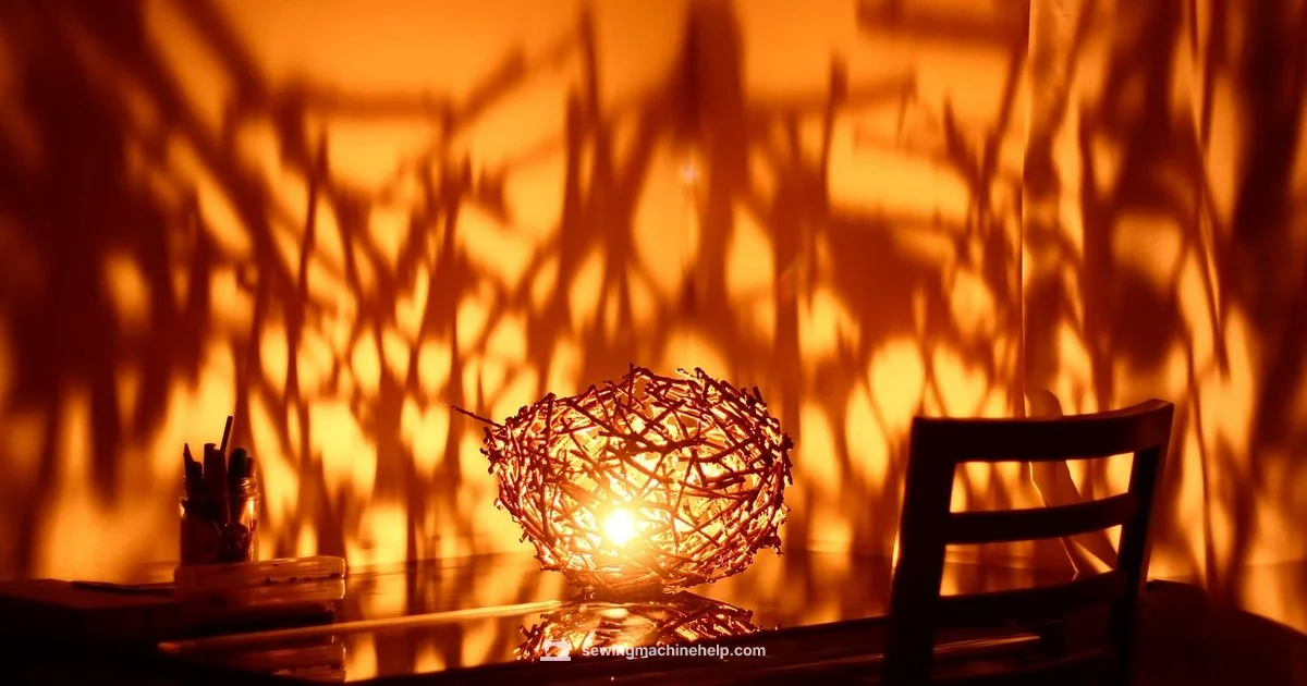 Needle Insertion Guide - Sewing Machine Help