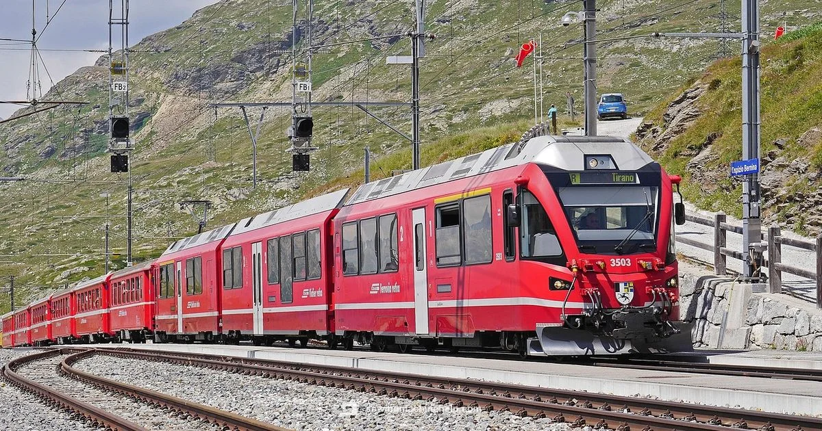 Used Bernina Guide - Sewing Machine Help