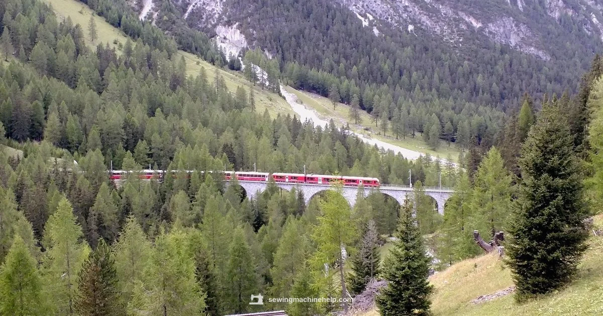 Bernina Quality - Sewing Machine Help