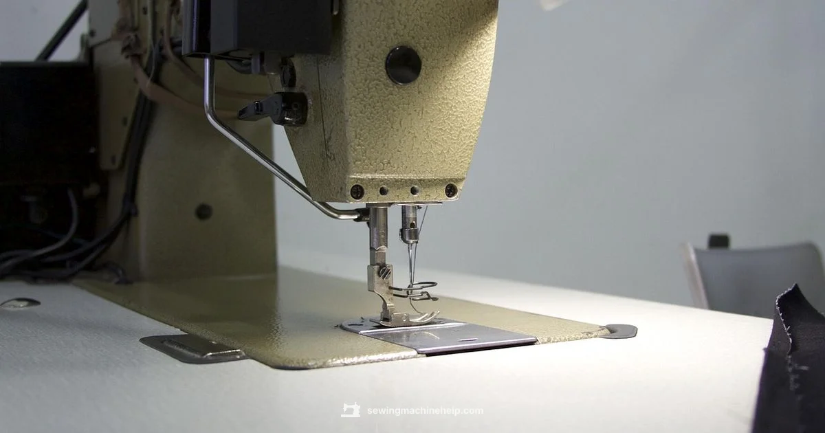 Cost Overview - Sewing Machine Help