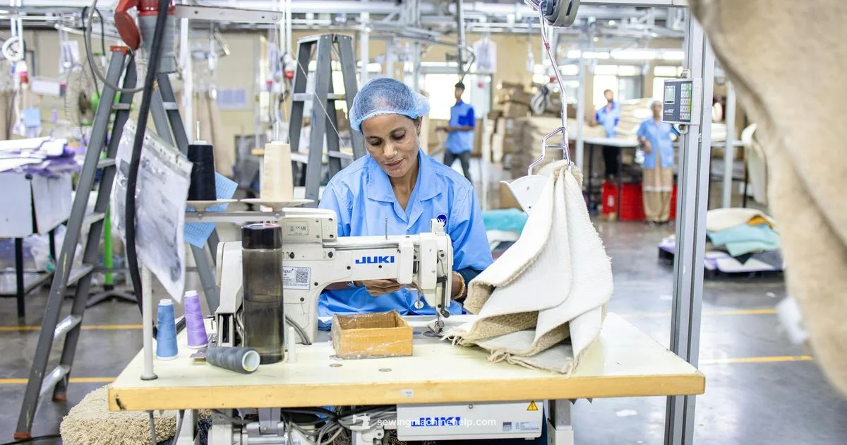 TL 2010Q Overview - Sewing Machine Help