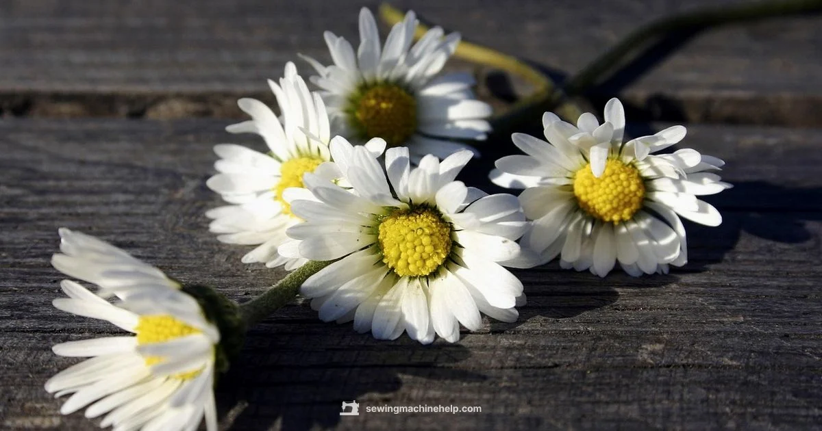 White Sewing Machine - Sewing Machine Help